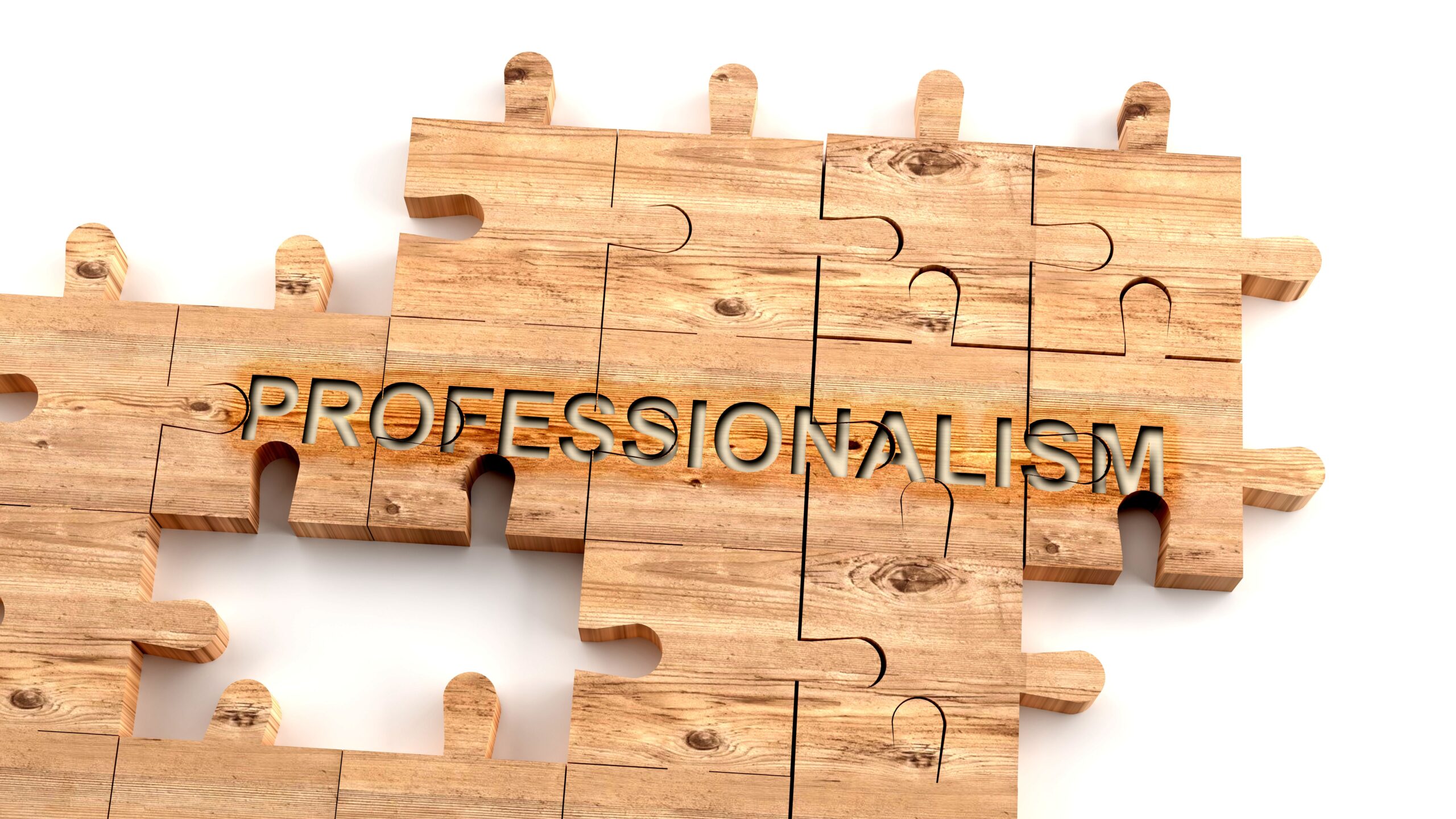 Image of wooden puzzle pieces that read “professionalism”
